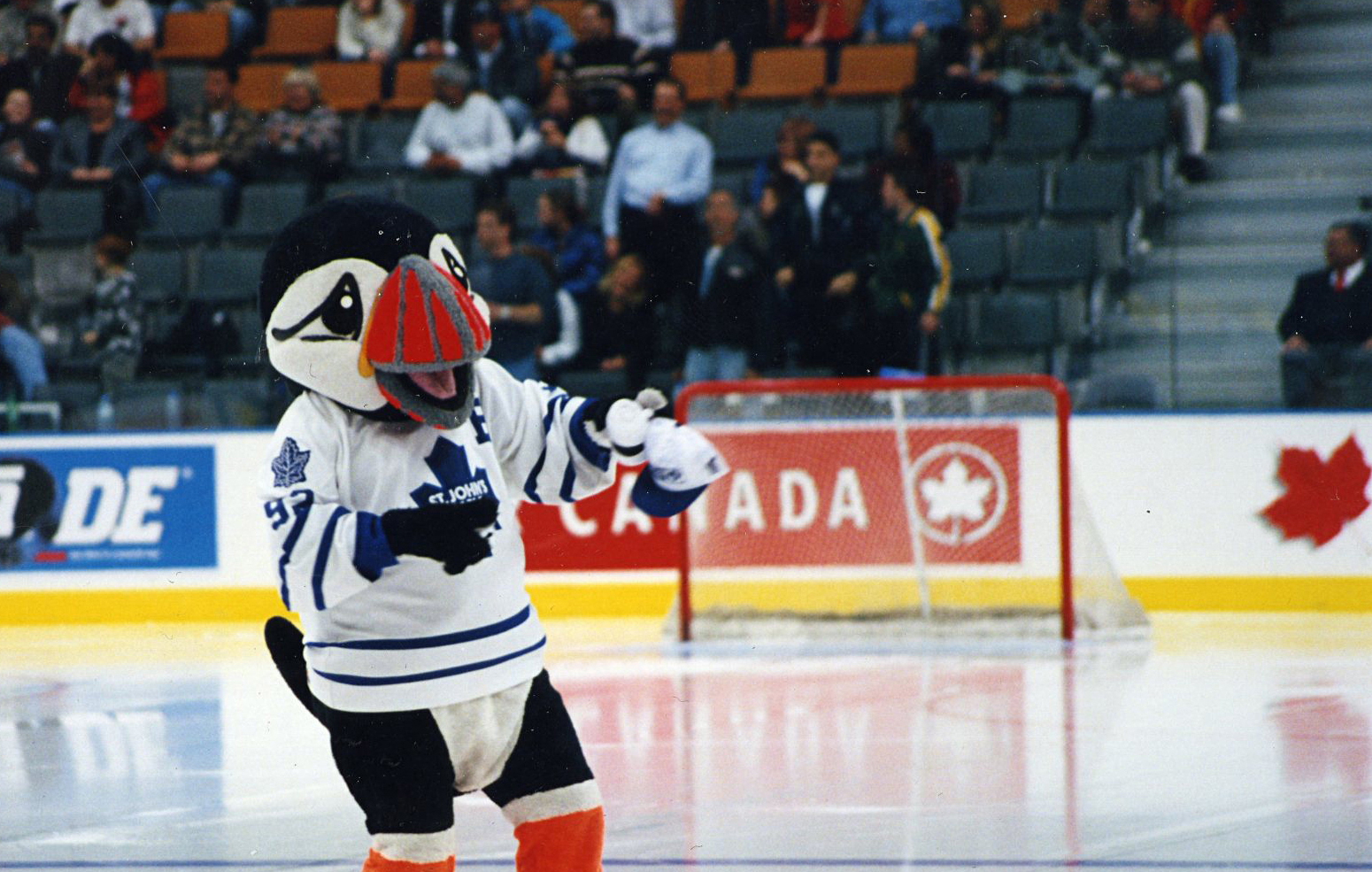 Buddy the Puffin