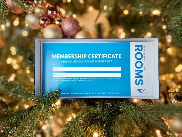 Gift certificate sitting in a Christmas tree