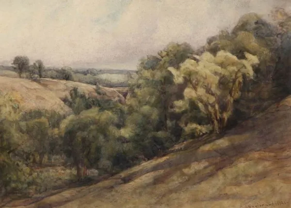 Untitled (wooded hilside)