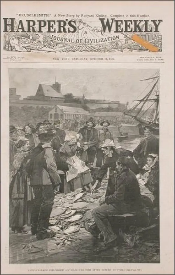 Newfoundland Cod Fishery-Dividing The Fish After Return To Port