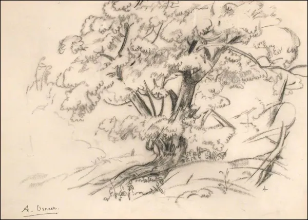 Untitled - Tree In Landscape
