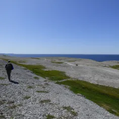May 28 landscape